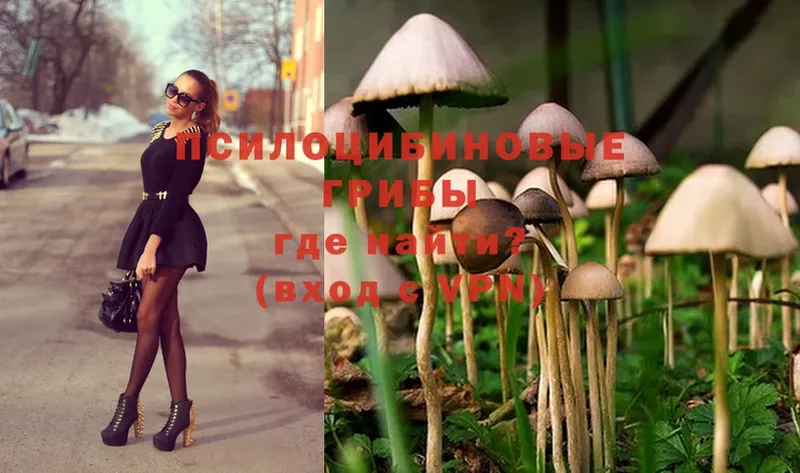 Галлюциногенные грибы Magic Shrooms  где купить   Богучар 